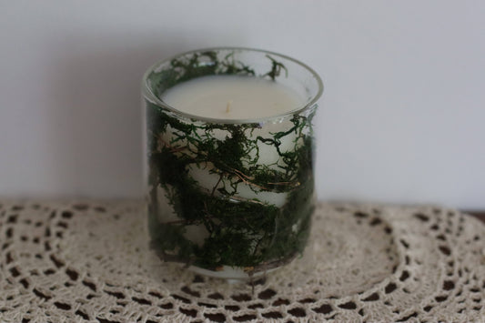 11 oz Forestlight Candle
